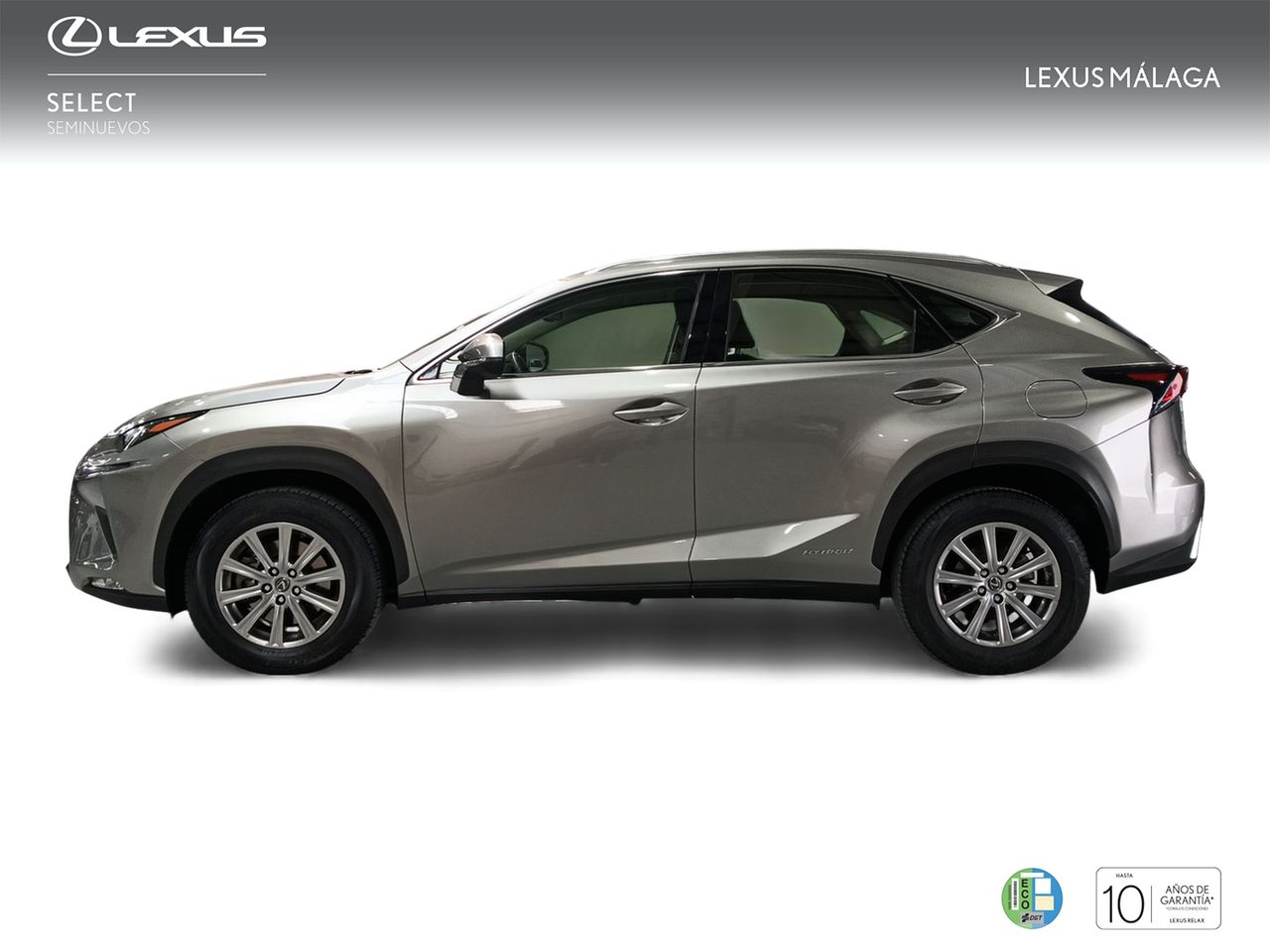 lexus nx 2019 / foto grande (3)
