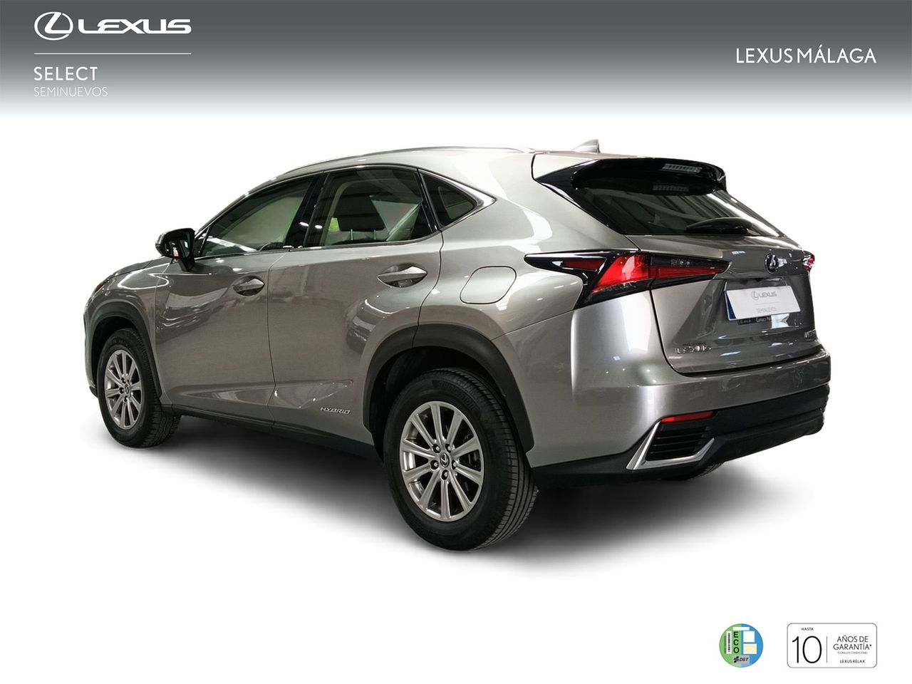 lexus nx 2019 / foto grande (2)