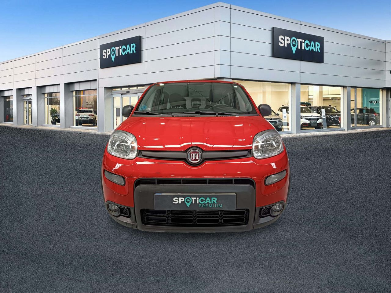 fiat panda 2021 / foto grande (2)