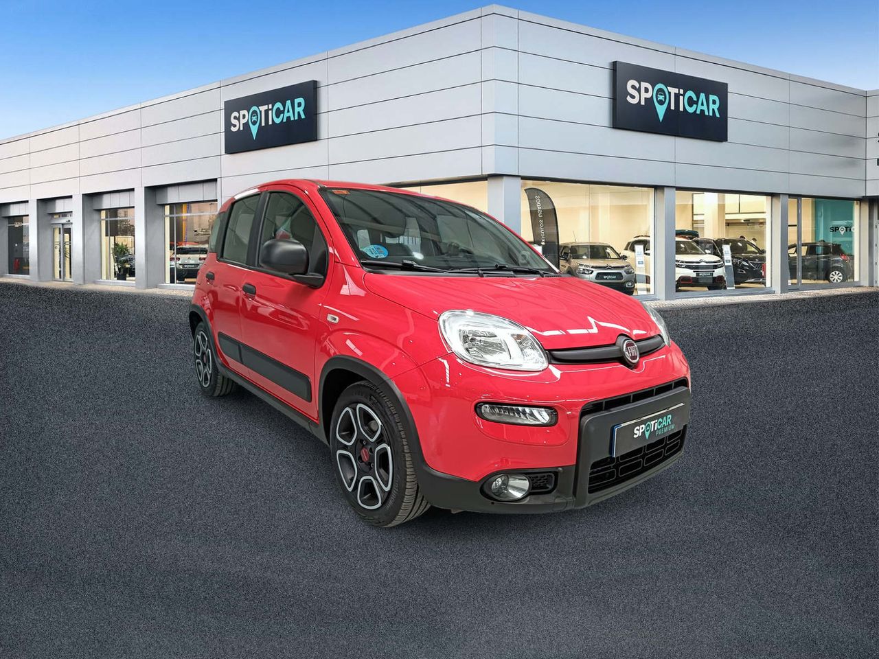 fiat panda 2021 / foto grande (3)