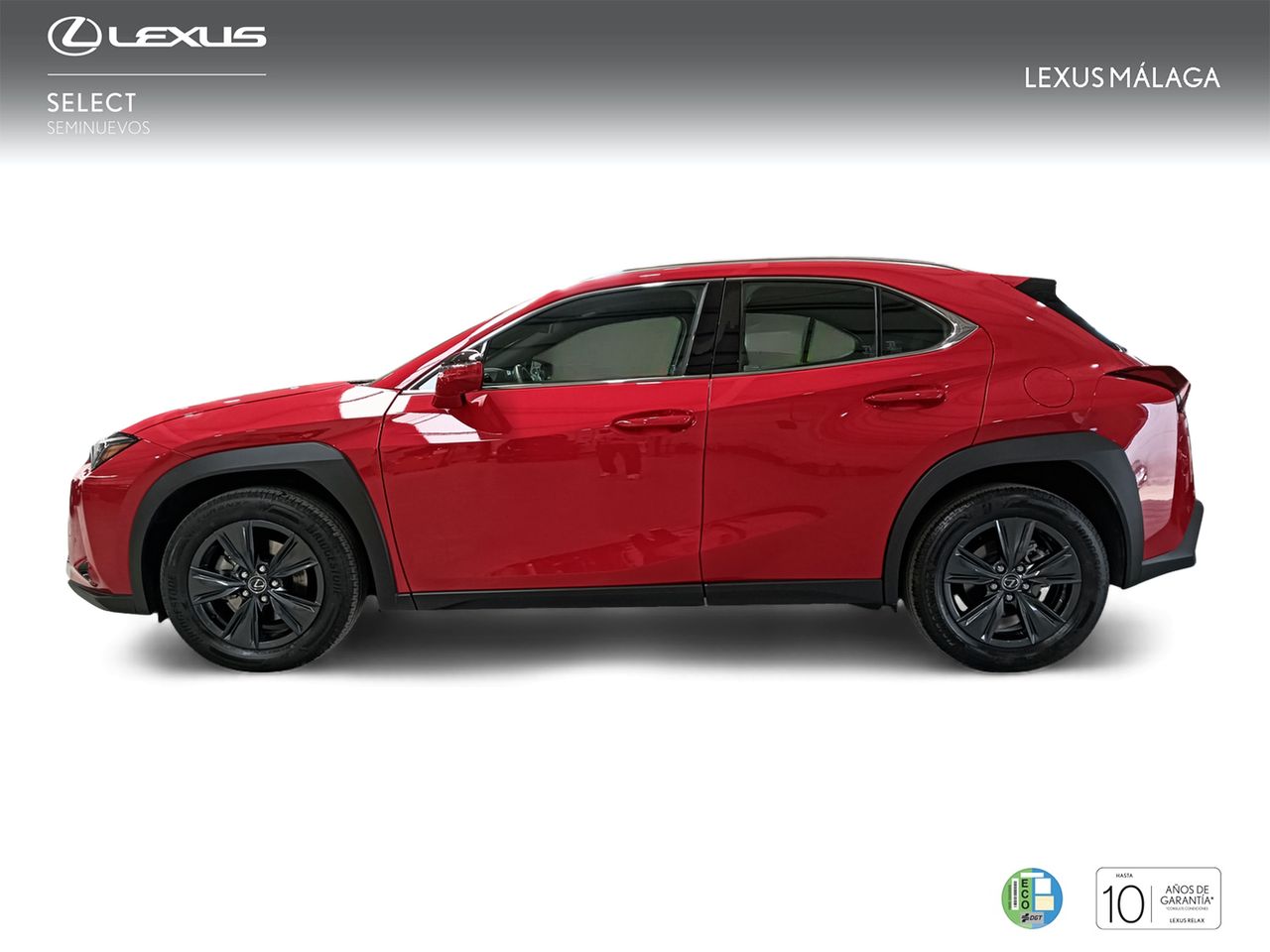 lexus ux 2024 / foto grande (3)