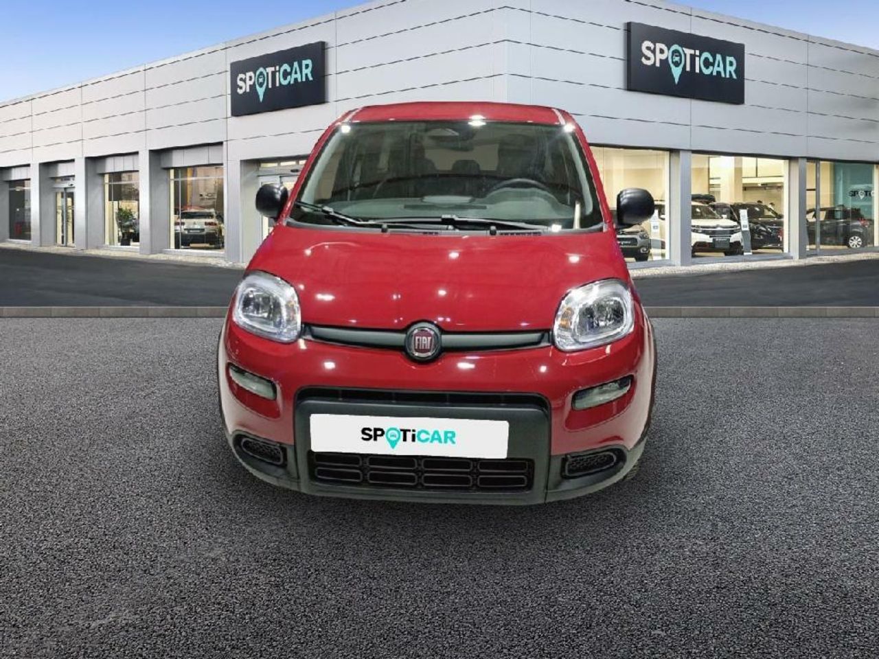 fiat panda 2025 / foto grande (2)