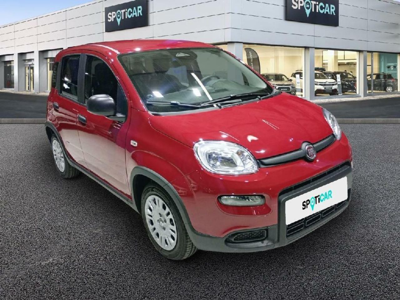 fiat panda 2025 / foto grande (3)