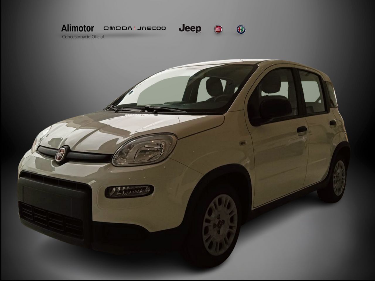 fiat panda 2024 /