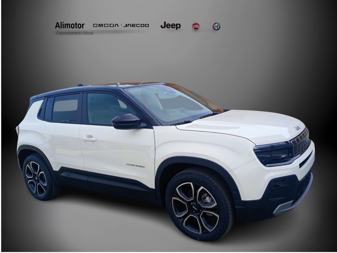 jeep renegade 2025 /