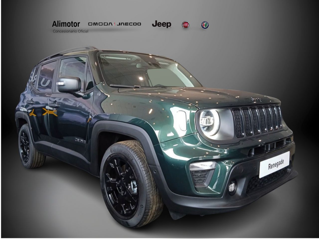 jeep renegade 2025 /