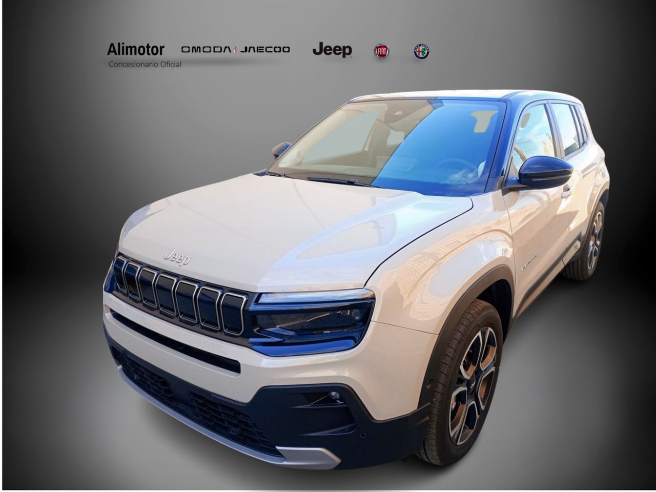 jeep renegade 2025 /