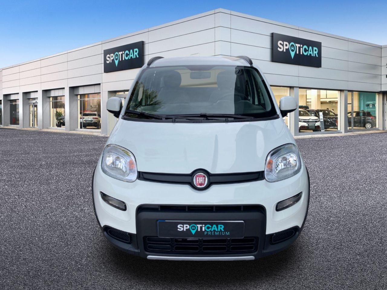 fiat panda 2022 / foto grande (2)