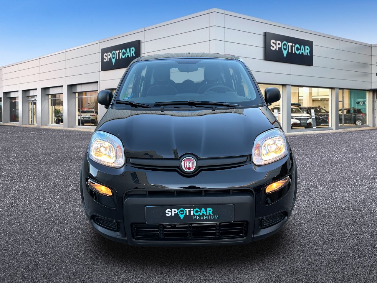fiat panda 2023 / foto grande (2)