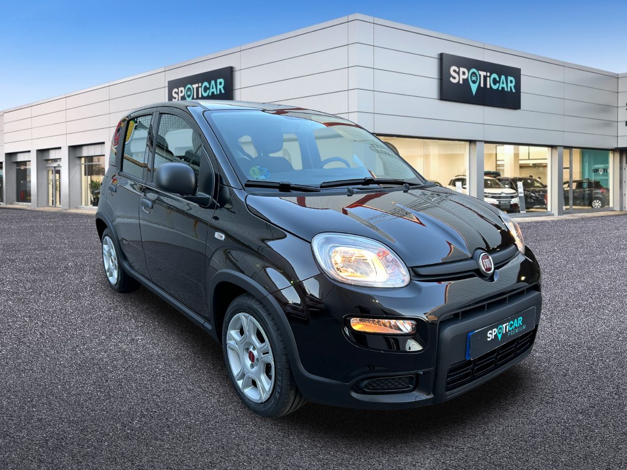 fiat panda 2023 / foto grande (3)