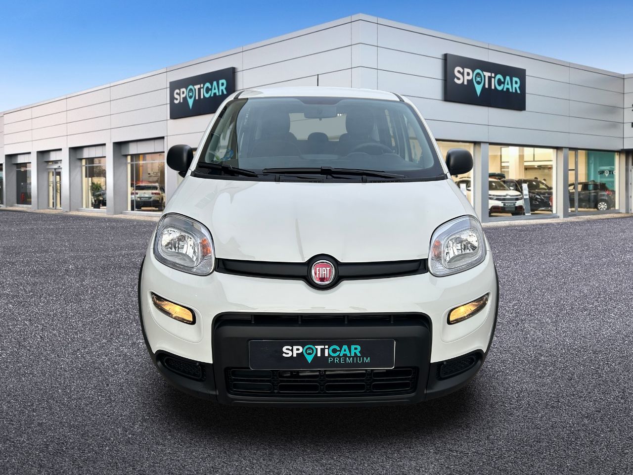fiat panda 2023 / foto grande (2)