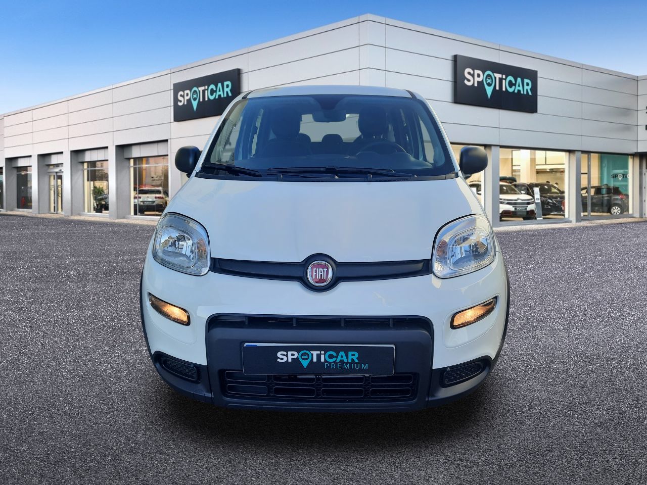fiat panda 2023 / foto grande (2)