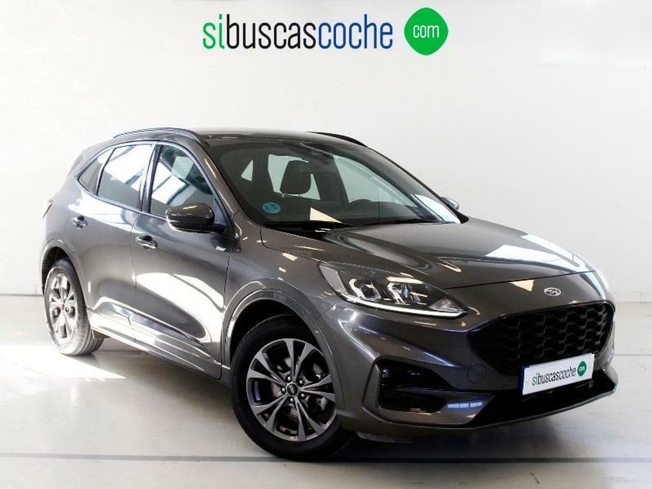 Foto ford kuga 2023 /