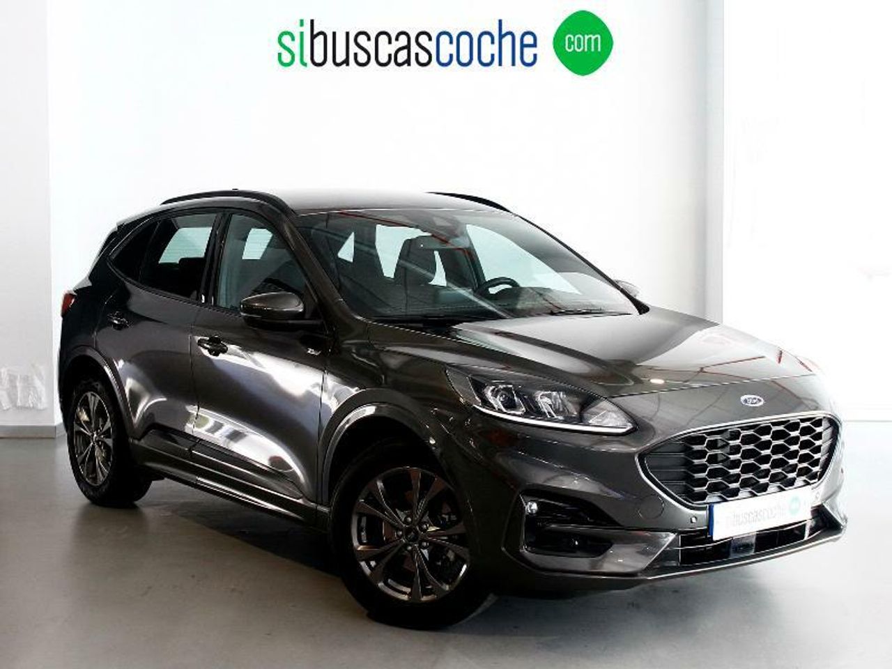 Foto ford kuga 2023 /