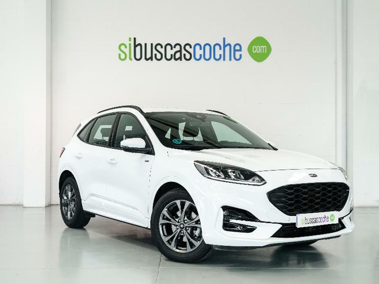 Foto ford kuga 2023 /