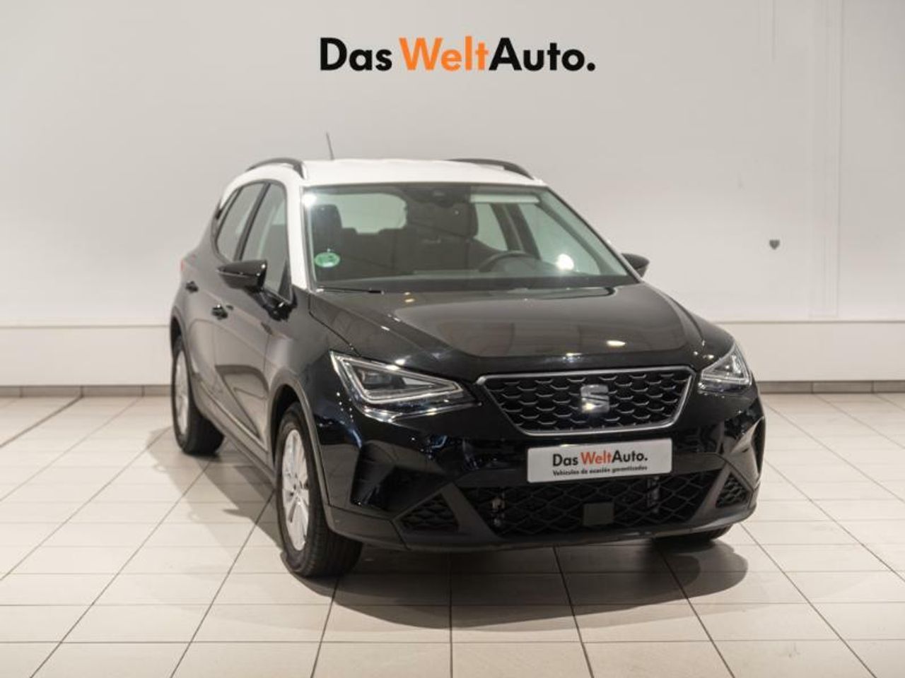Foto seat arona 2024 /