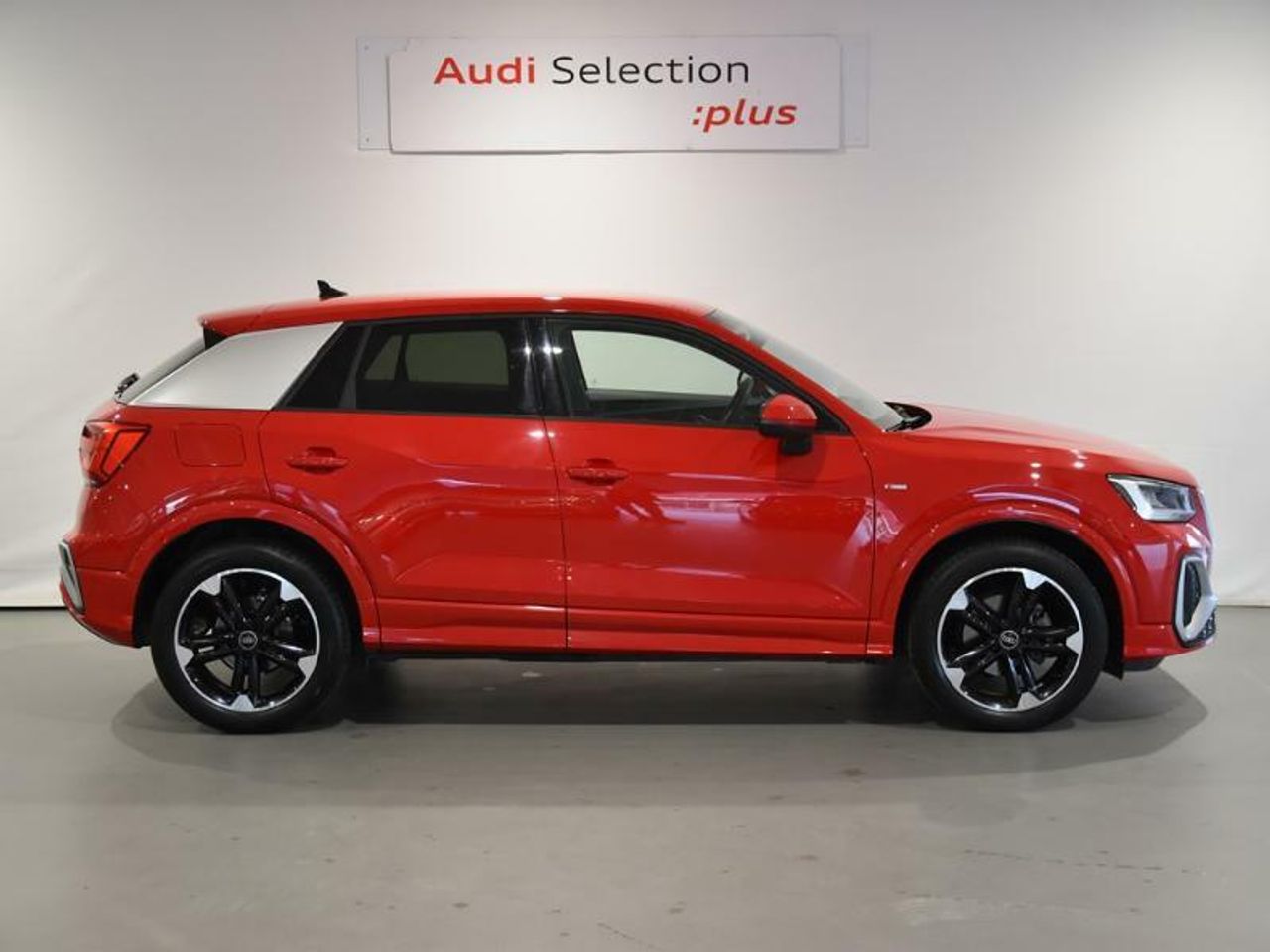 audi q2 2024 / foto grande (3)