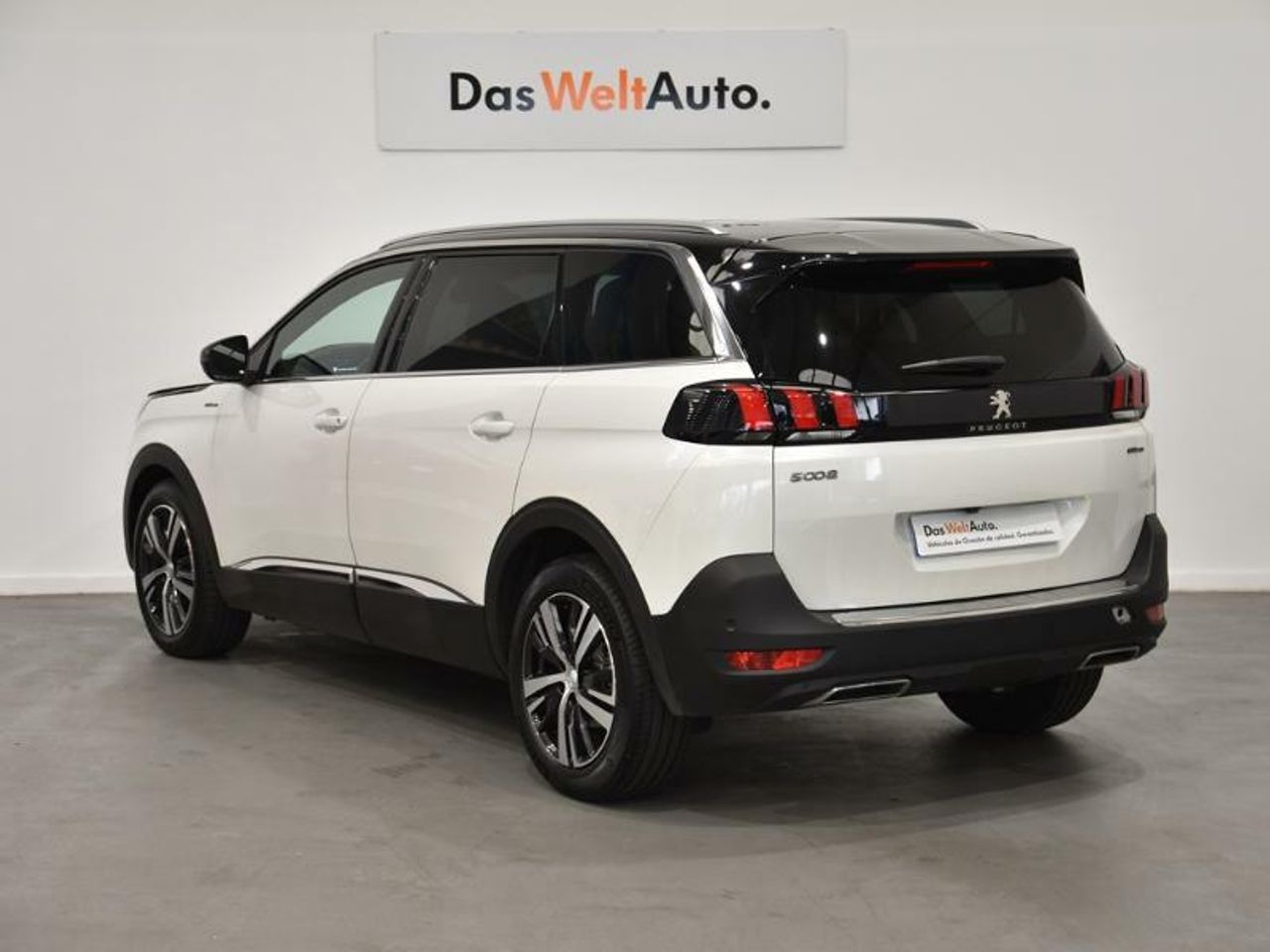 peugeot 5008 2019 / foto grande (2)