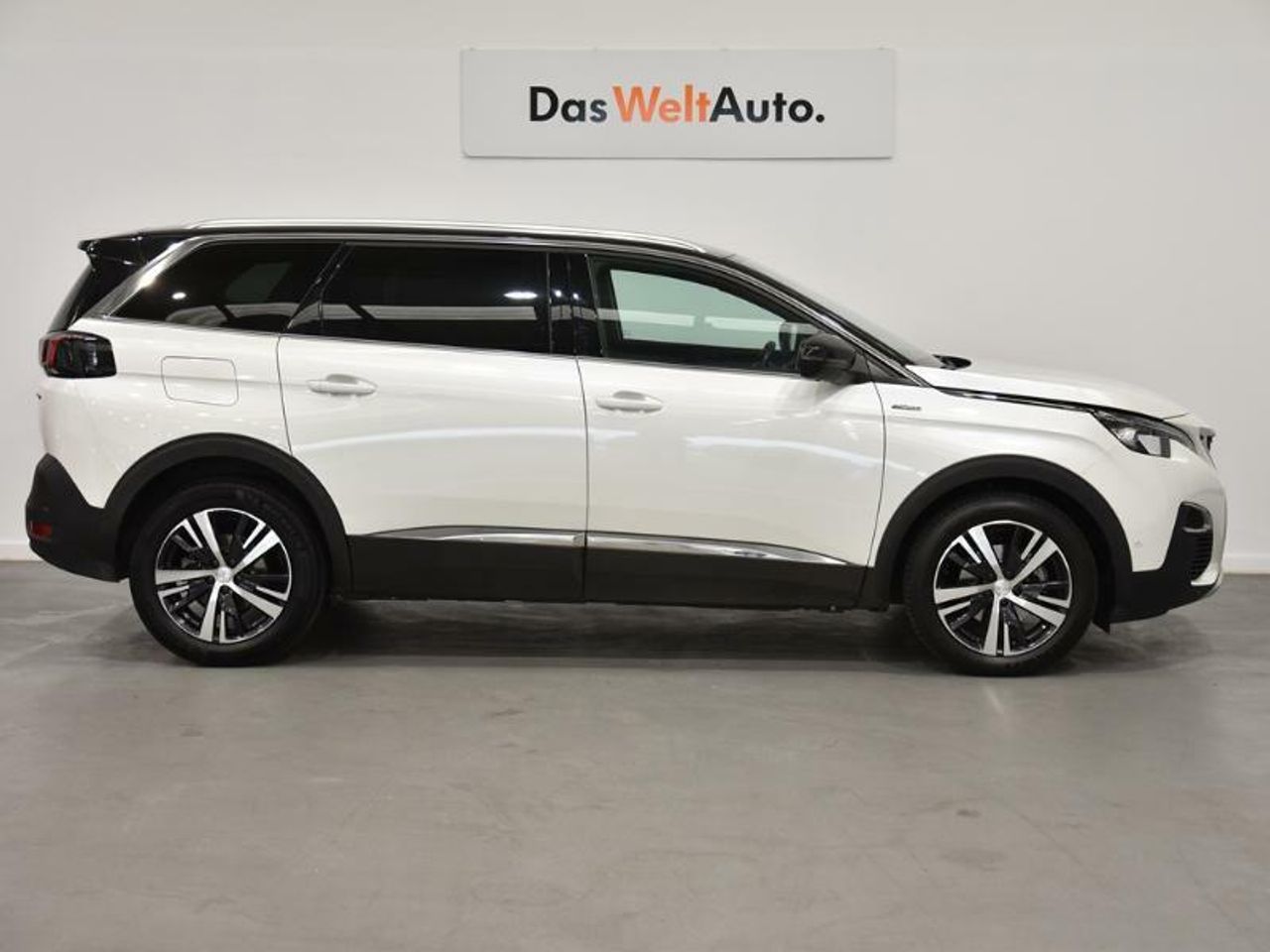 peugeot 5008 2019 / foto grande (3)