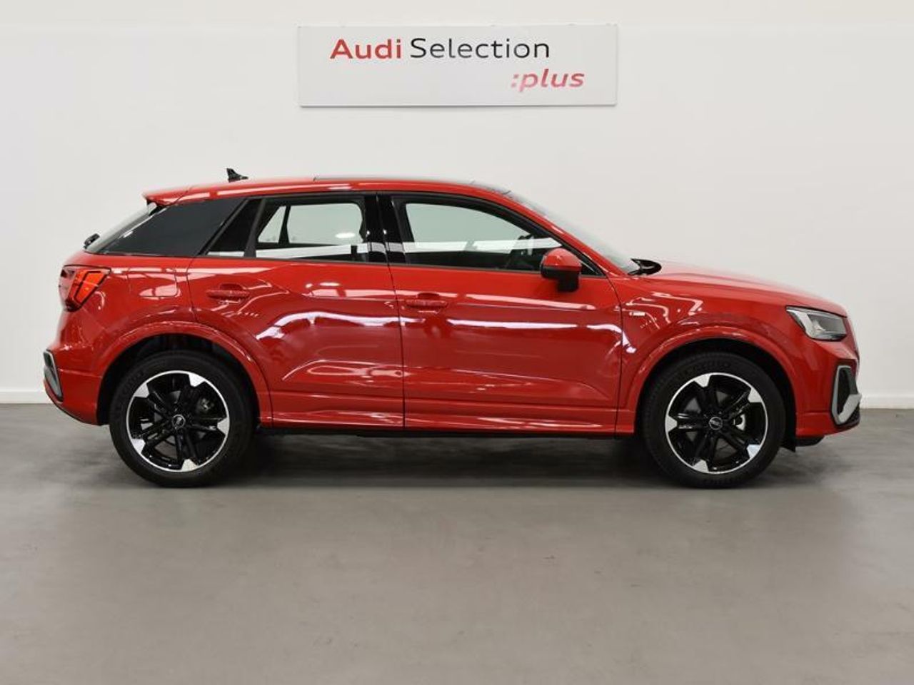 audi q2 2024 / foto grande (3)