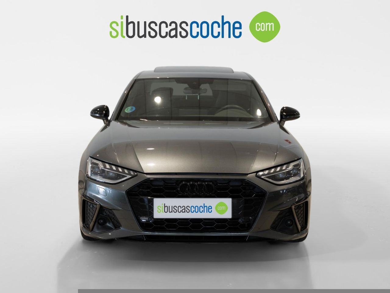 audi a4 2024 / foto grande (2)
