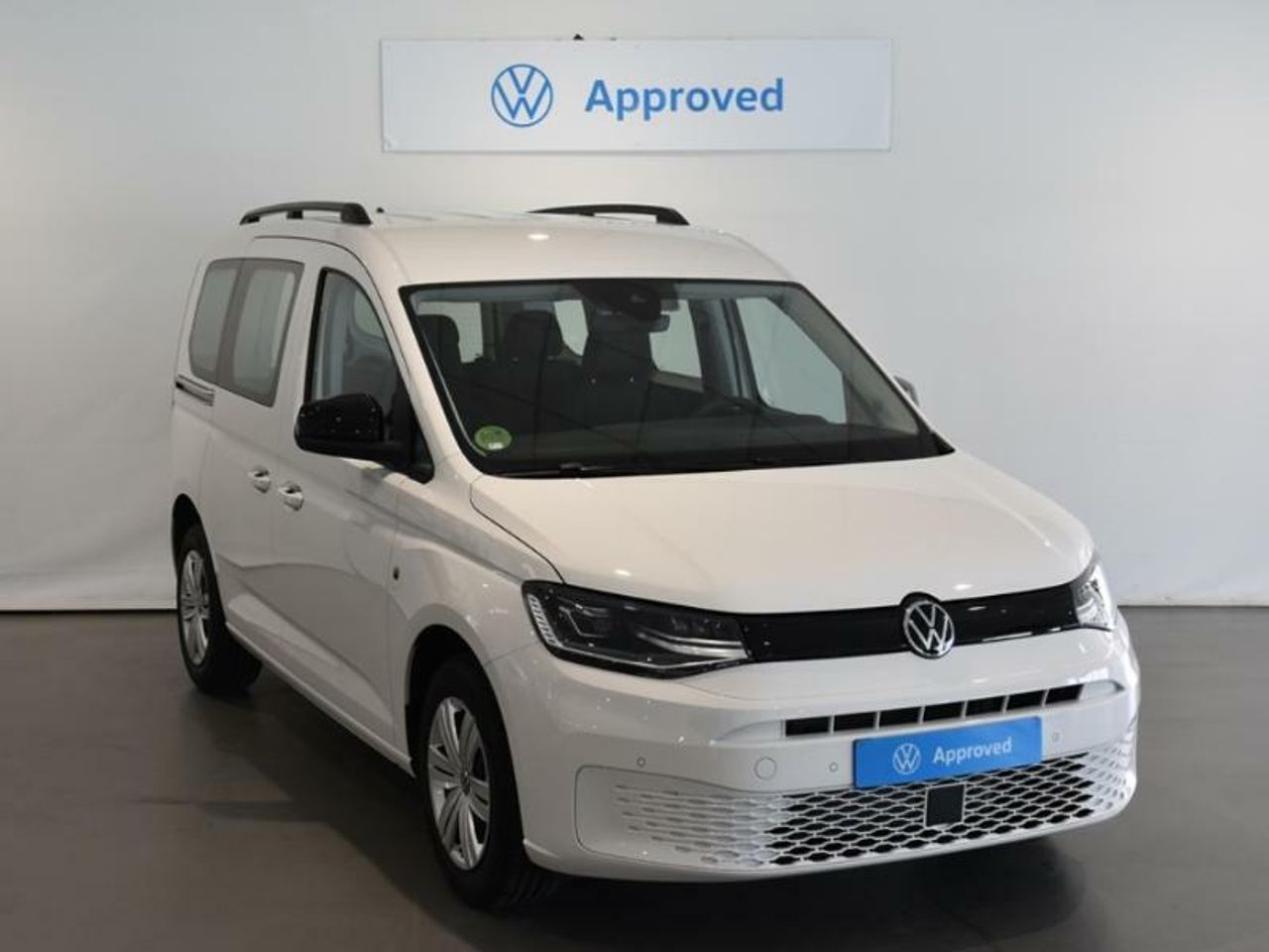 Chica independiente mulata  de segunda mano - volkswagen caddy 2025 /