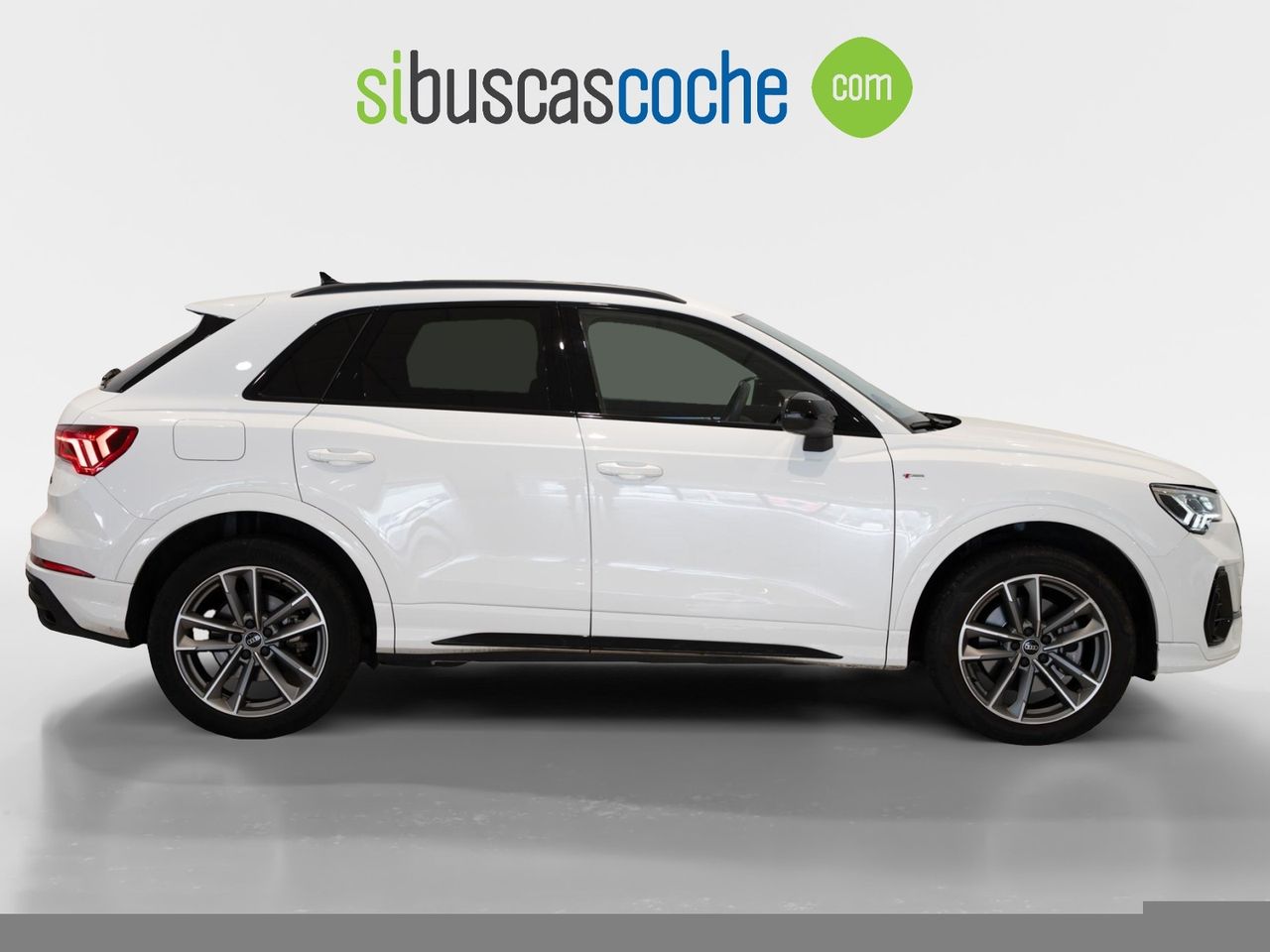 audi q3 2024 / foto grande (3)