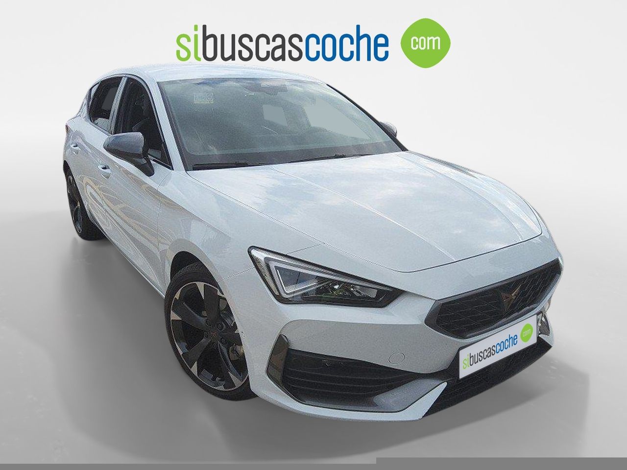cupra león 2024 / foto grande (3)