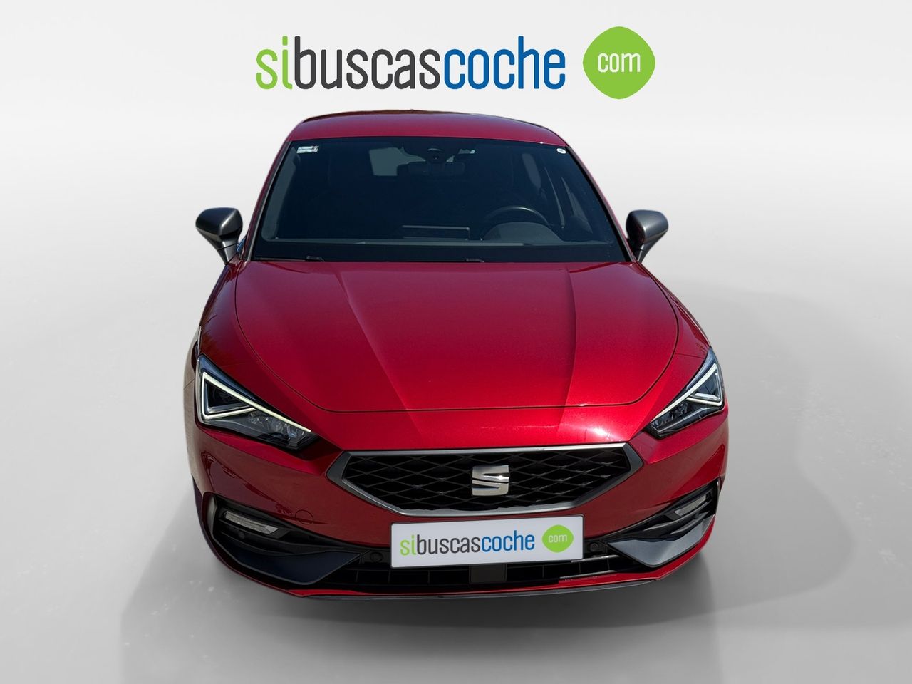 bg