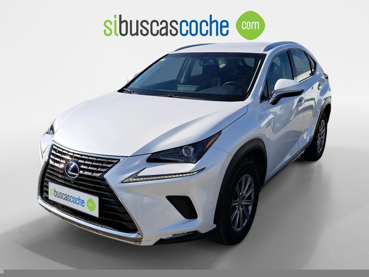 lexus nx 2018 / foto grande (1)
