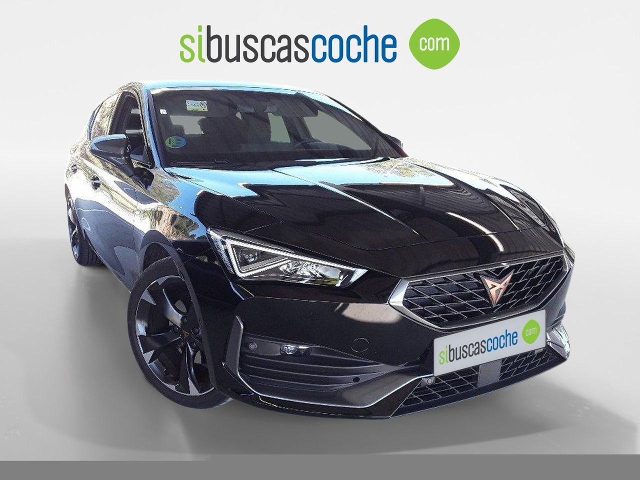 cupra león 2024 / foto grande (3)