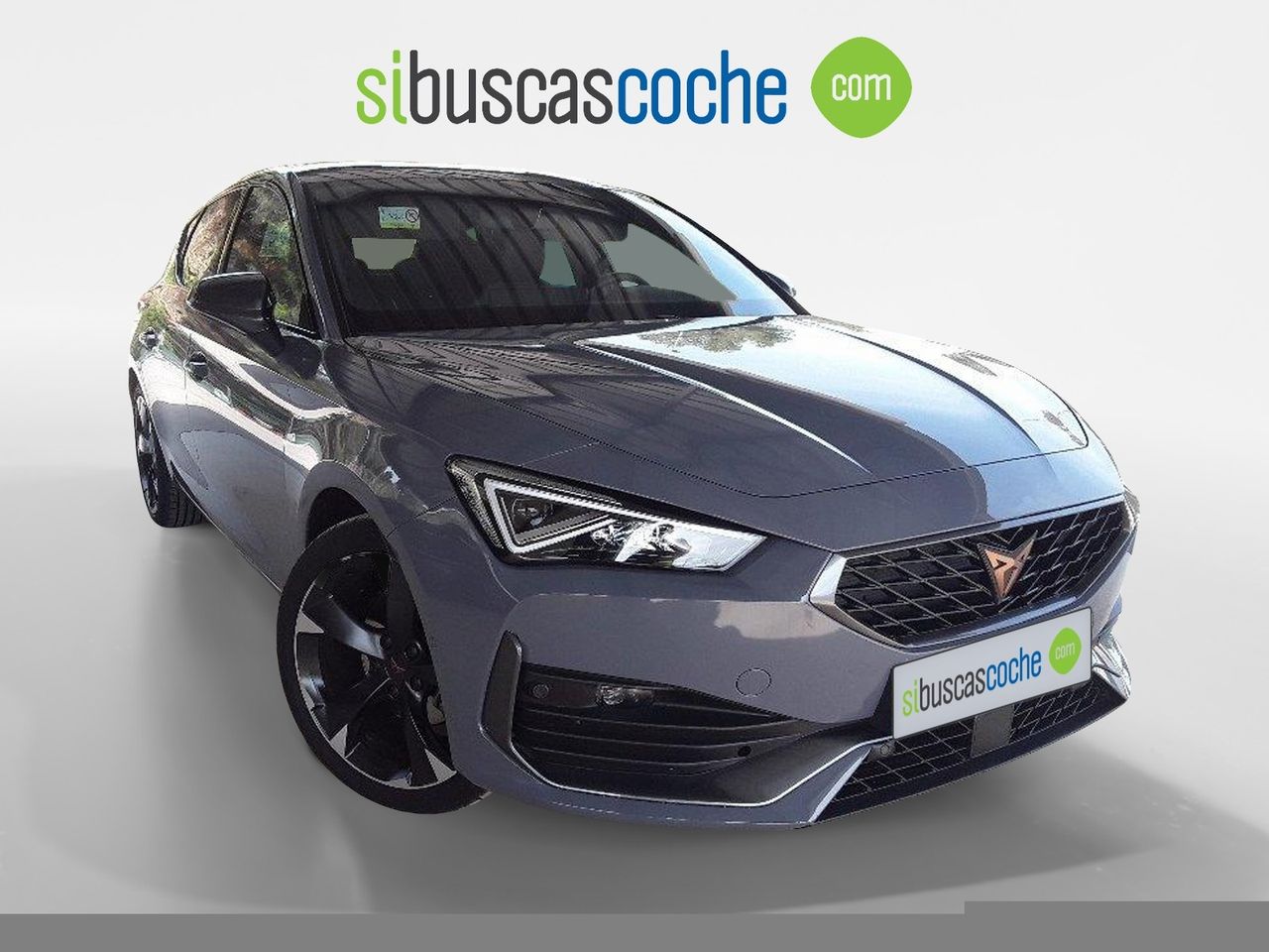 cupra león 2024 / foto grande (3)