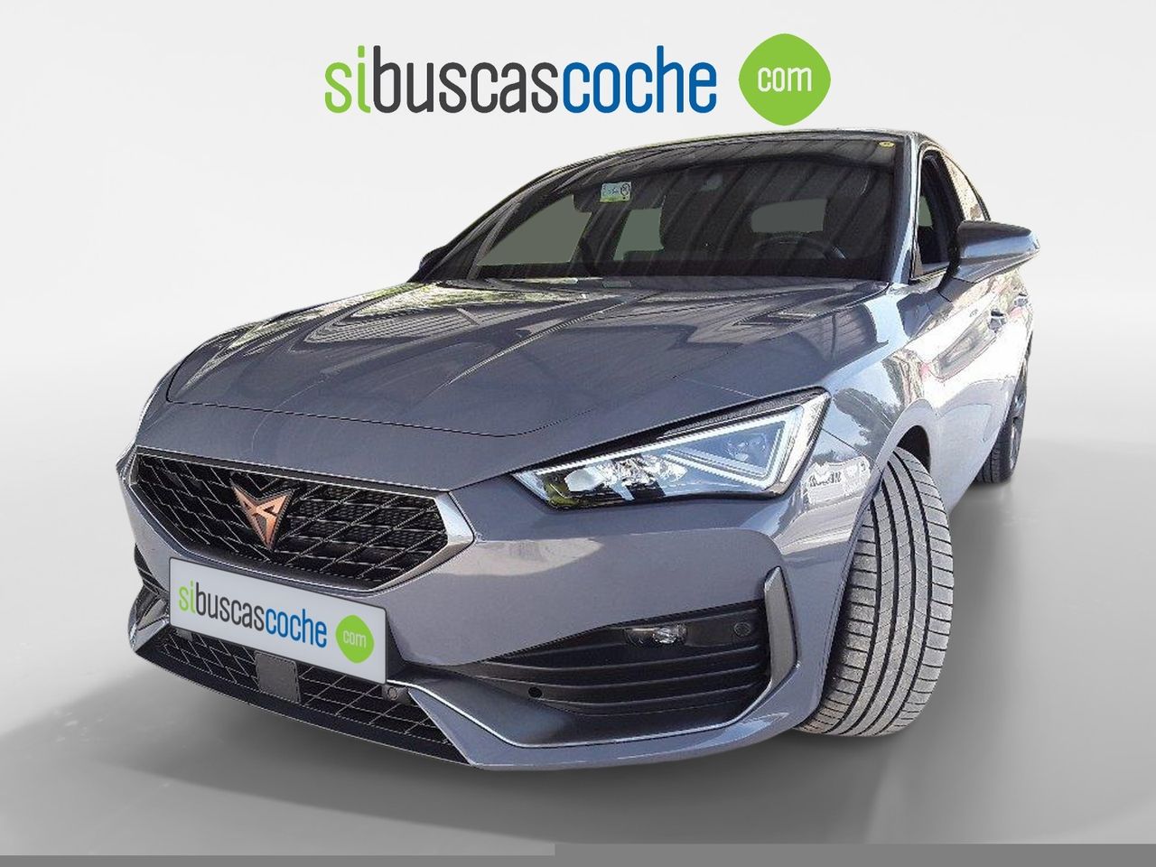 Foto cupra león 2024 /