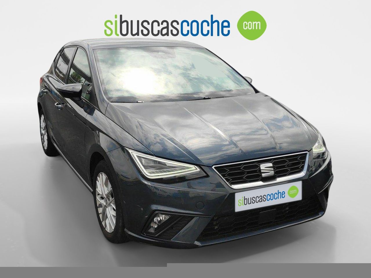 seat ibiza 2023 / foto grande (3)