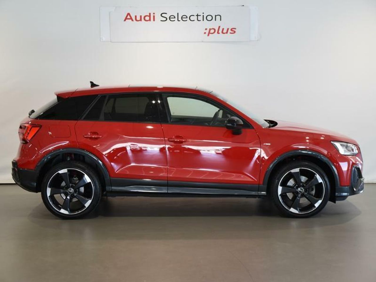 audi q2 2024 / foto grande (3)