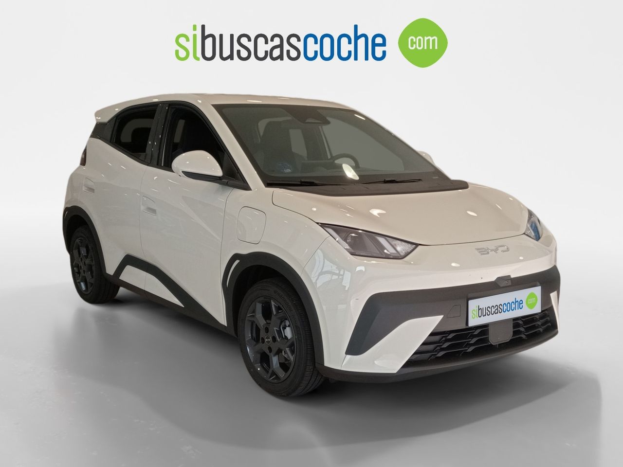 byd dolphin surf 2025 /