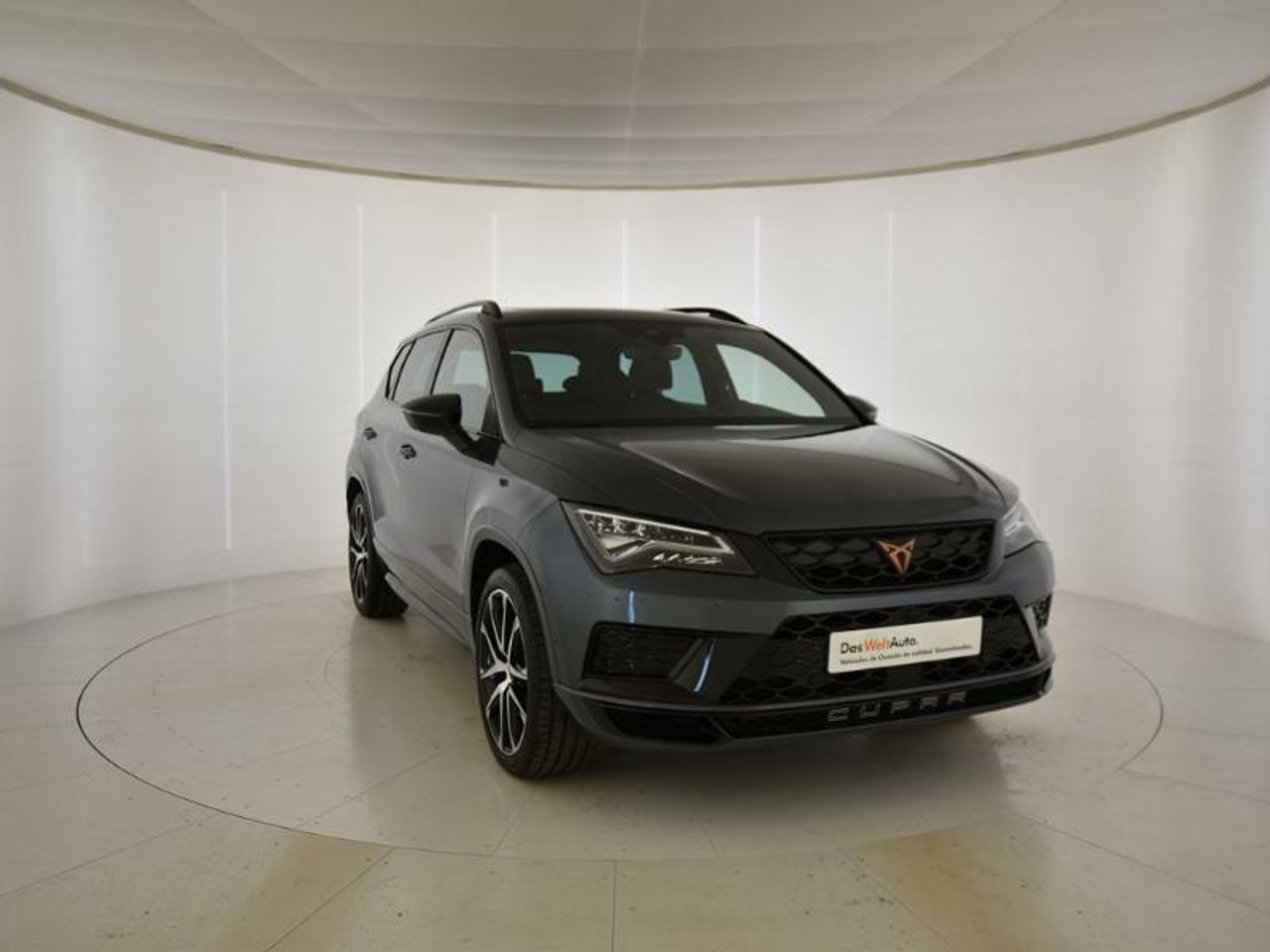 cupra ateca 2020 /