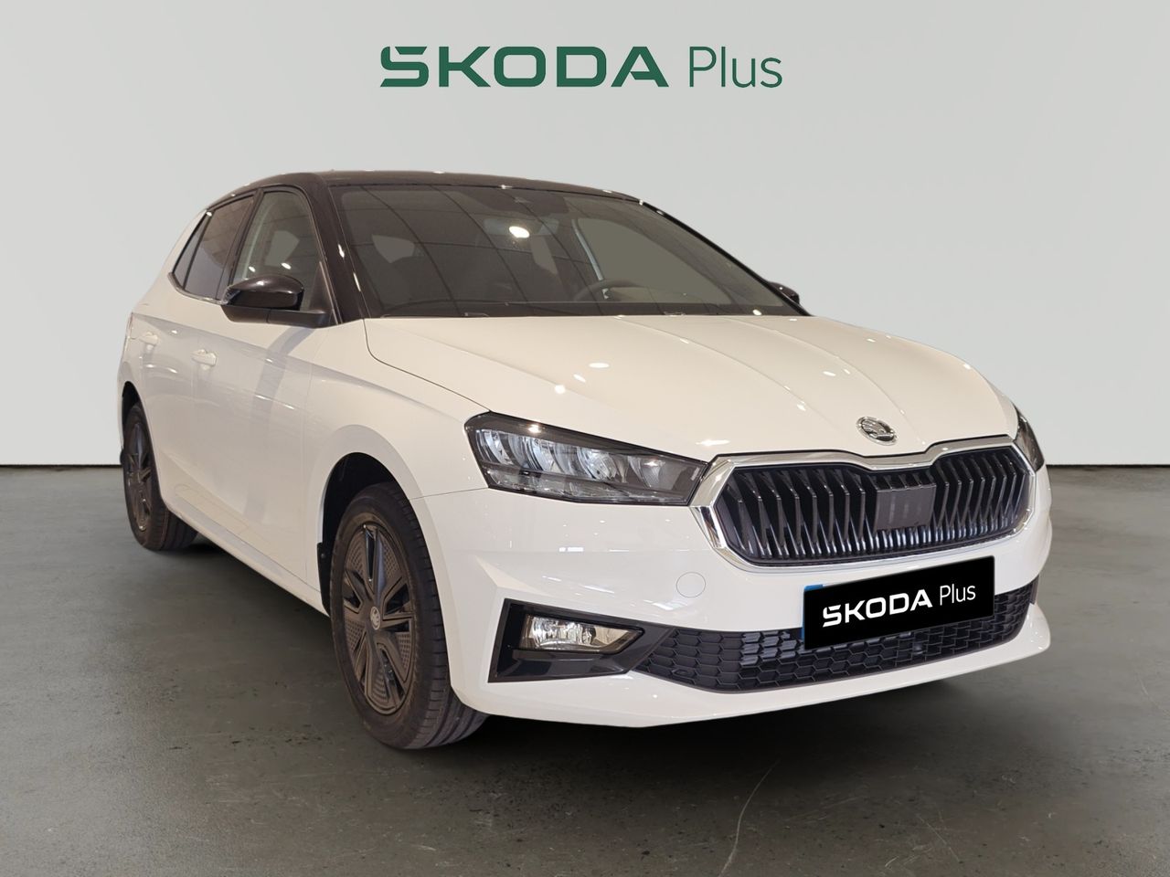 skoda fabia 2025 /