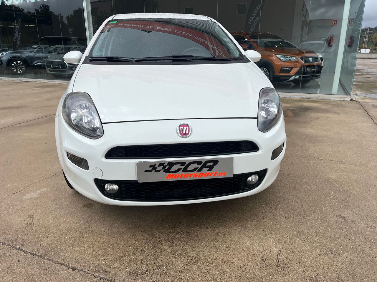 fiat punto 2013 / foto grande (3)