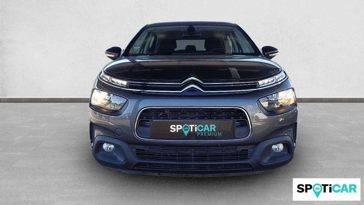 citroën c4 cactus 2020 / foto grande (2)