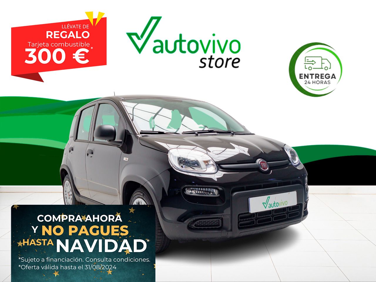 fiat panda 2024 /