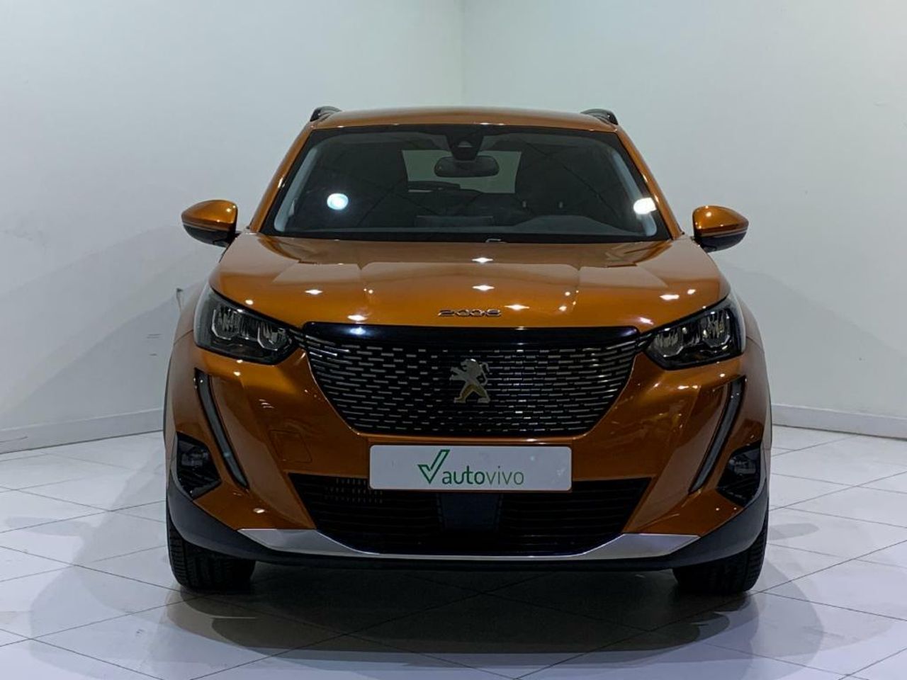 peugeot 2008 2020 / foto grande (2)