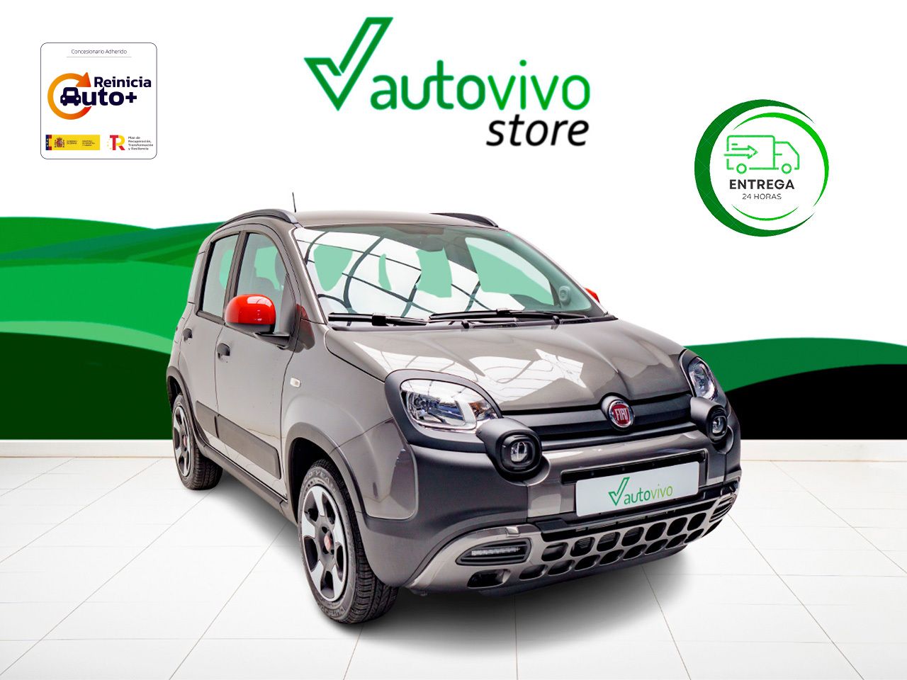 fiat panda 2024 /