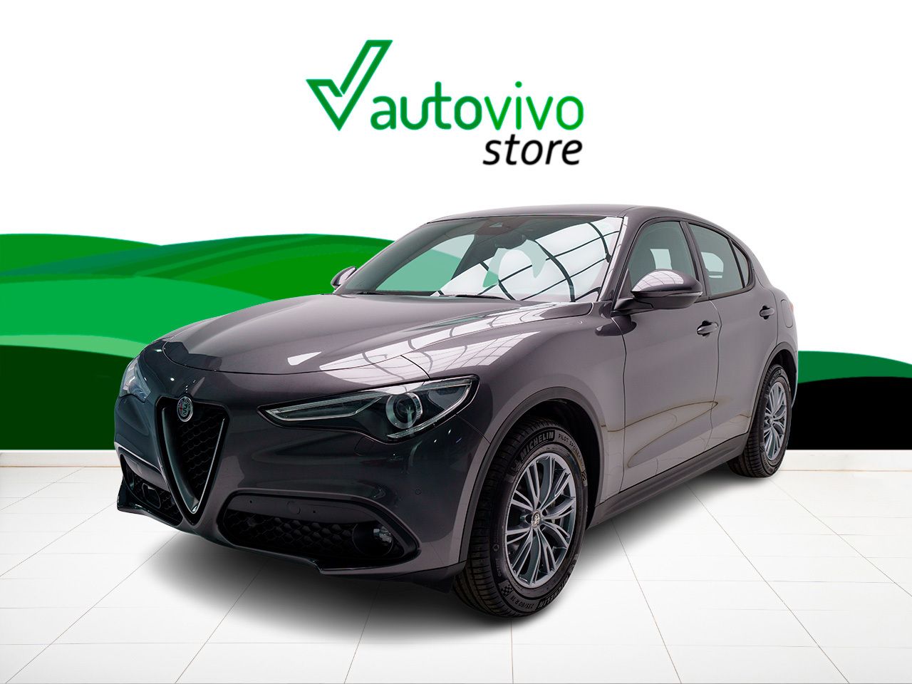 Alfa Romeo Stelvio Q4 SUPER 2.2 TD 190 CV AT8 5P - foto 11