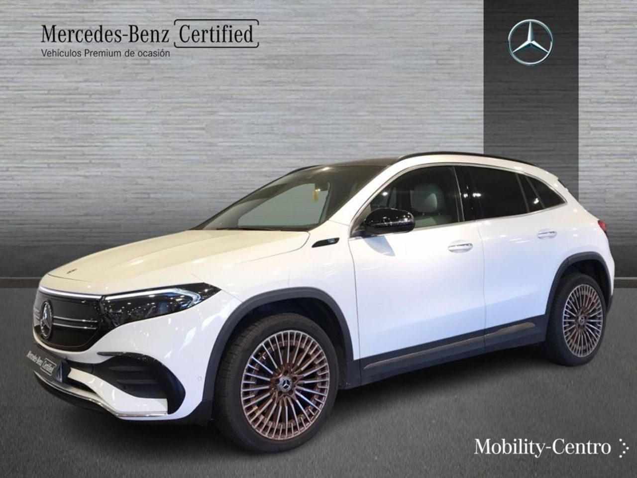 mercedes-eqa-250-edition-1-imagen-0