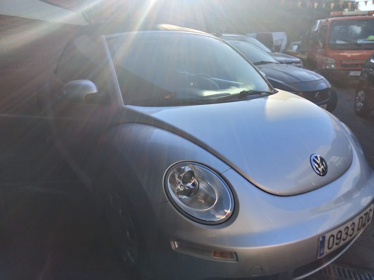 volkswagen beetle cabrio 2006 / foto grande (3)