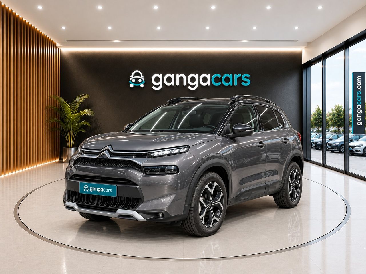 Citroën C3 Aircross PureTech 81kW (110CV) S&S C-Series
