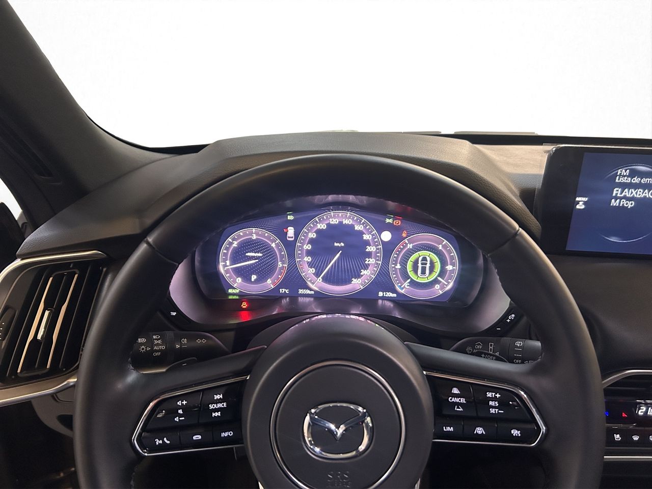 Mazda CX-80 3.3 E-SKYACTIV D254 MHEV HOMURA PLUS AWD 5P 7 Pl - foto 19