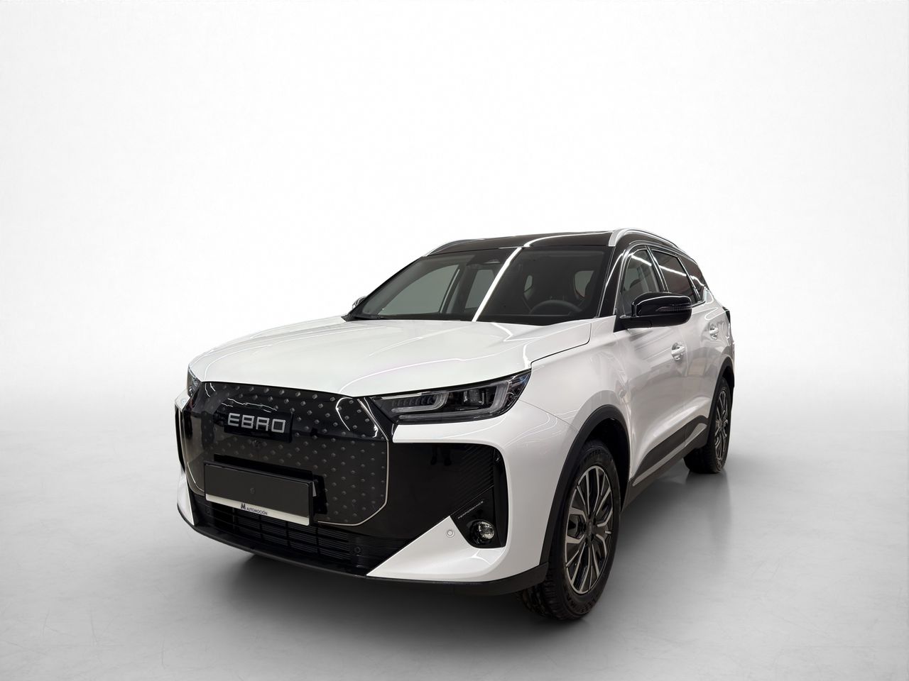 Imatge del vehicle 6
