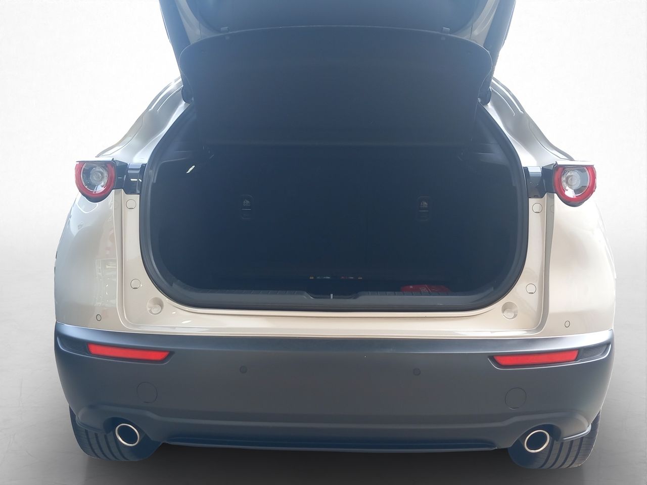 Imatge del vehicle 7